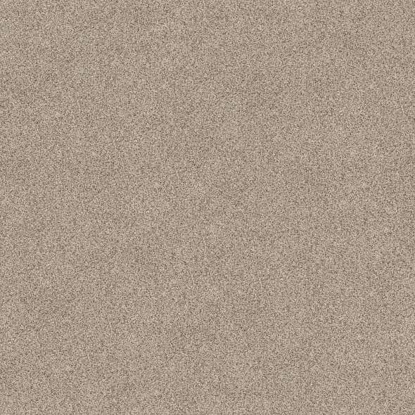 Caress - Devon Classic III - Carpet Shaw Floors