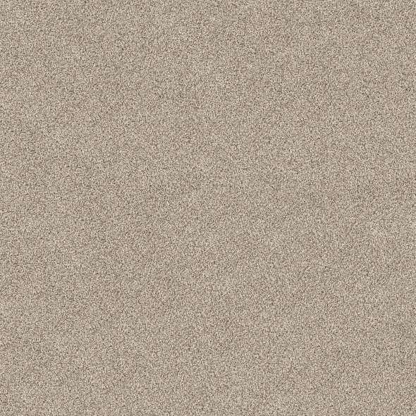 Caress - Devon Classic II - Carpet Shaw Floors