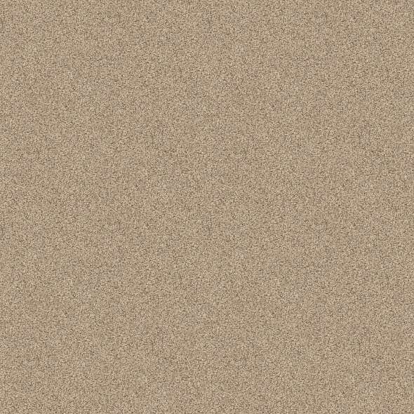 Caress - Devon Classic III - Carpet Shaw Floors