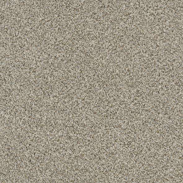 Caress - Devon Classic III - Carpet Shaw Floors