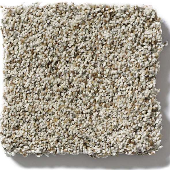 Caress - Devon Classic II - Carpet Shaw Floors