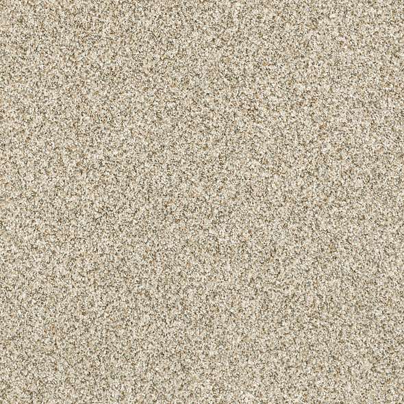Caress - Devon Classic III - Carpet Shaw Floors