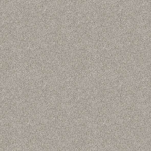 Caress - Devon Classic III - Carpet Shaw Floors