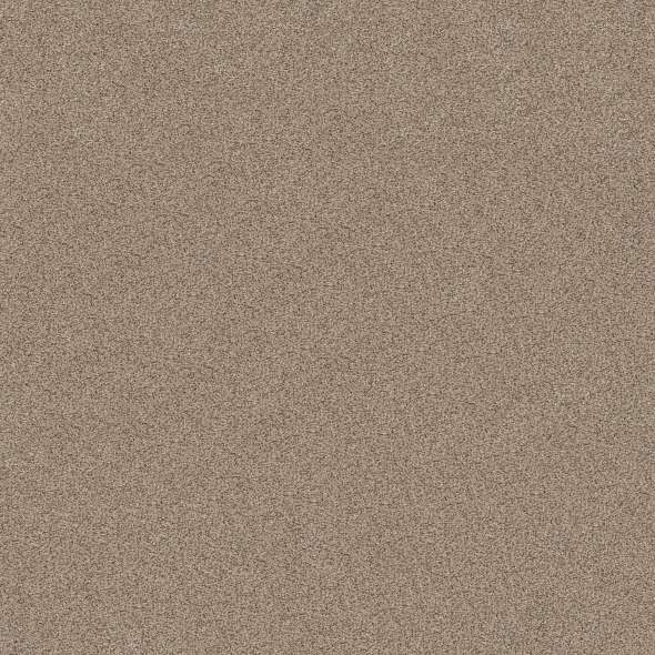 Caress - Devon Classic II - Carpet Shaw Floors