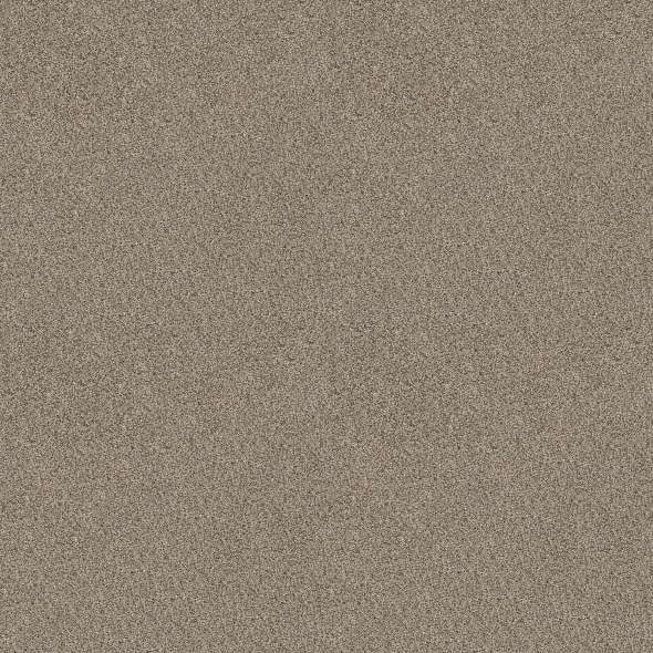 Caress - Devon Classic II - Carpet Shaw Floors