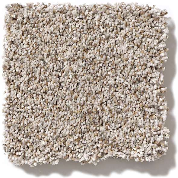 Caress - Devon Classic II - Carpet Shaw Floors