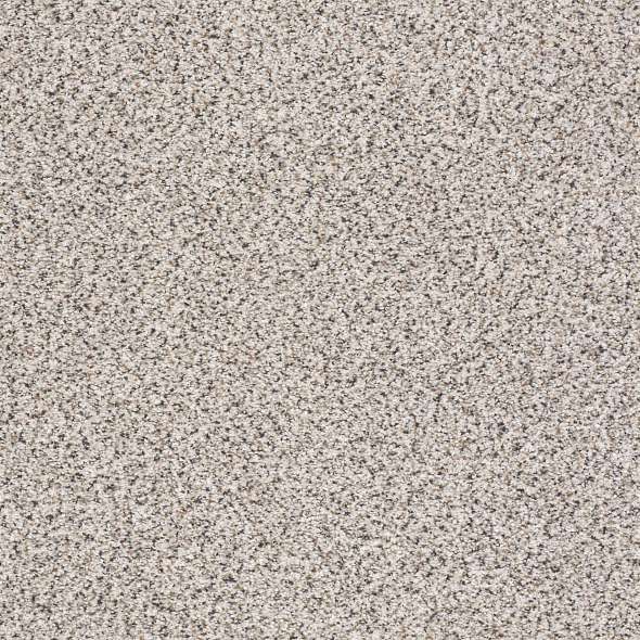 Colorwall - Find your comfort II -Accent - Carpet Shaw Floors