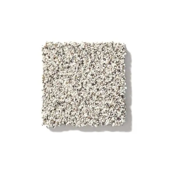 Colorwall - Find your comfort II -Accent - Carpet Shaw Floors