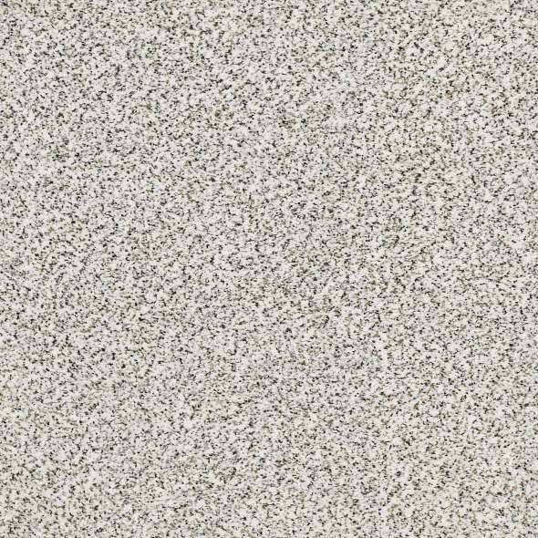 Colorwall - Find your comfort II -Accent - Carpet Shaw Floors
