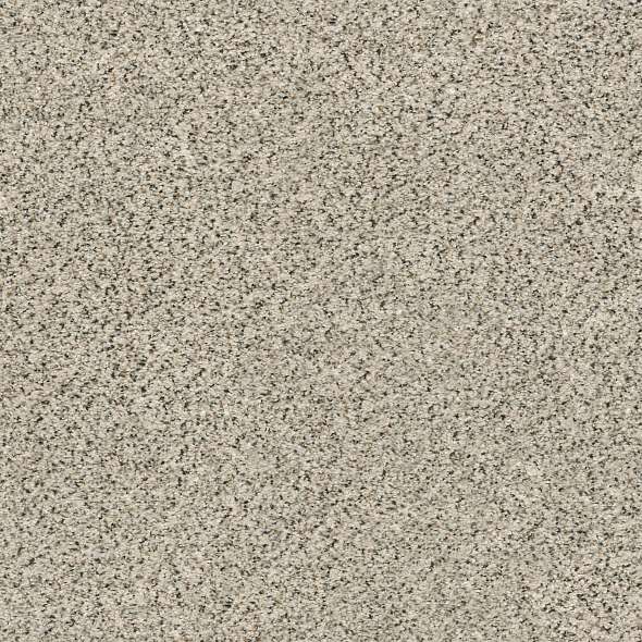 Colorwall - Find your comfort II -Accent - Carpet Shaw Floors