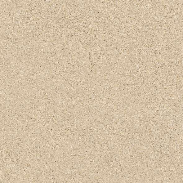 Colorwall - Find your comfort I - Solid - Carpet Shaw Floors