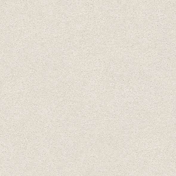 Colorwall - Find your comfort I - Solid - Carpet Shaw Floors