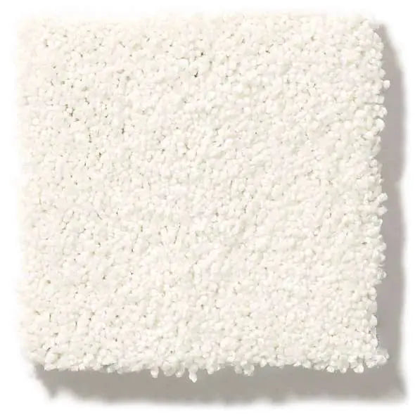 Colorwall - Find your comfort I - Solid - Carpet Shaw Floors