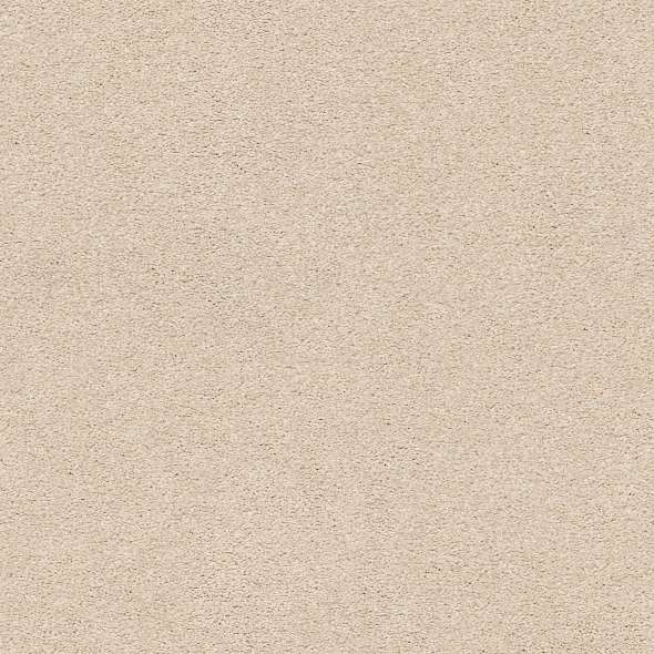 Colorwall - Find your comfort I - Solid - Carpet Shaw Floors