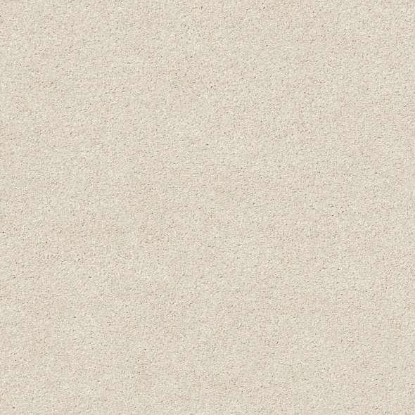 Colorwall - Find your comfort I - Solid - Carpet Shaw Floors