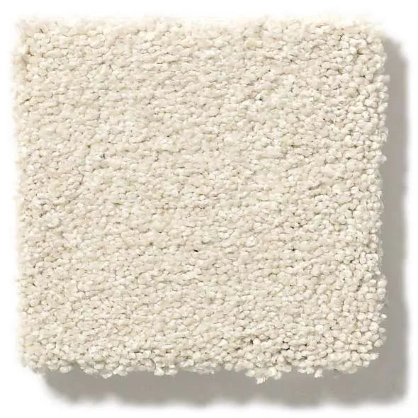 Colorwall - Find your comfort I - Solid - Carpet Shaw Floors