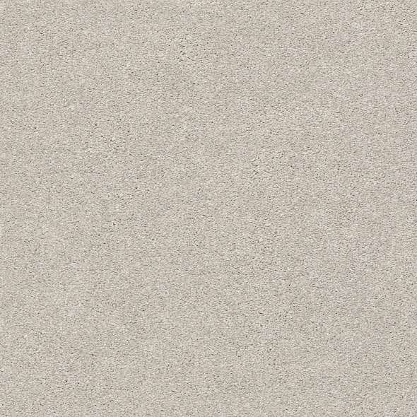 Colorwall - Find your comfort I - Solid - Carpet Shaw Floors