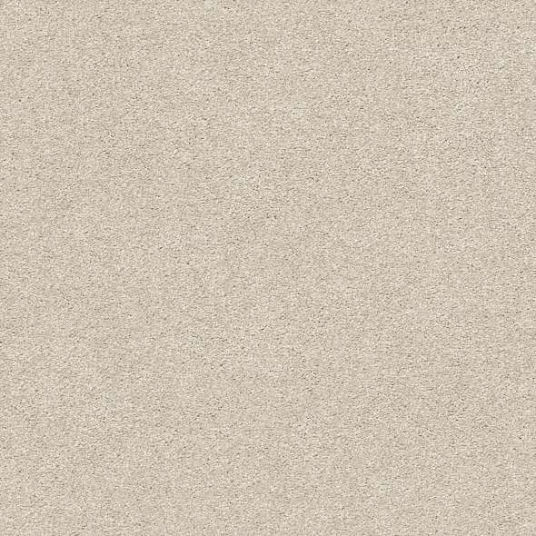 Colorwall - Find your comfort I - Solid - Carpet Shaw Floors