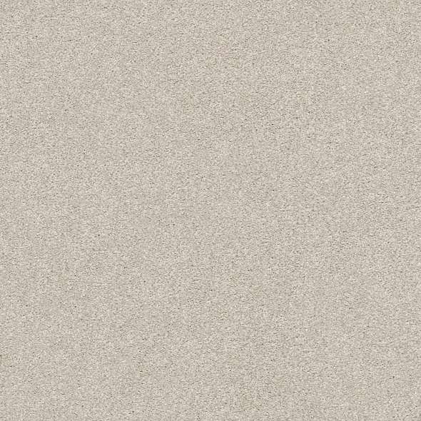 Colorwall - Find your comfort I - Solid - Carpet Shaw Floors