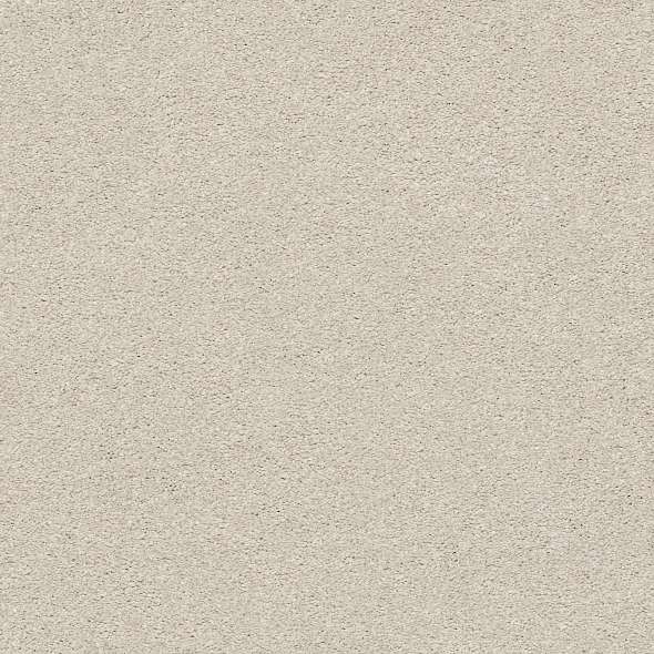 Colorwall - Find your comfort I - Solid - Carpet Shaw Floors