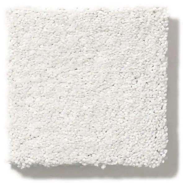 Colorwall - Find your comfort I - Solid - Carpet Shaw Floors