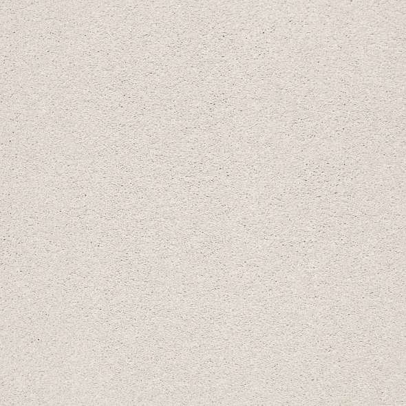 Colorwall - Find your comfort I - Solid - Carpet Shaw Floors