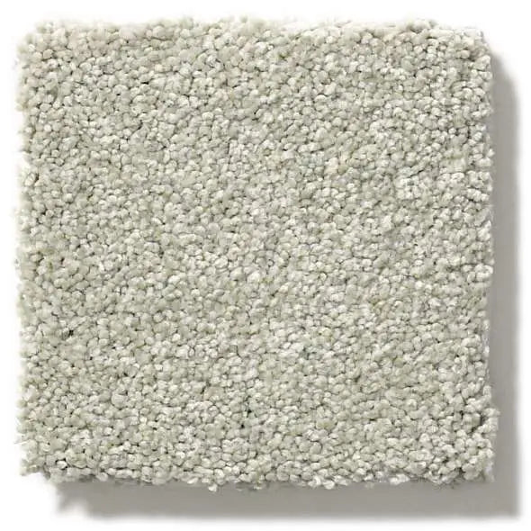 Colorwall - Find your comfort I - Solid - Carpet Shaw Floors