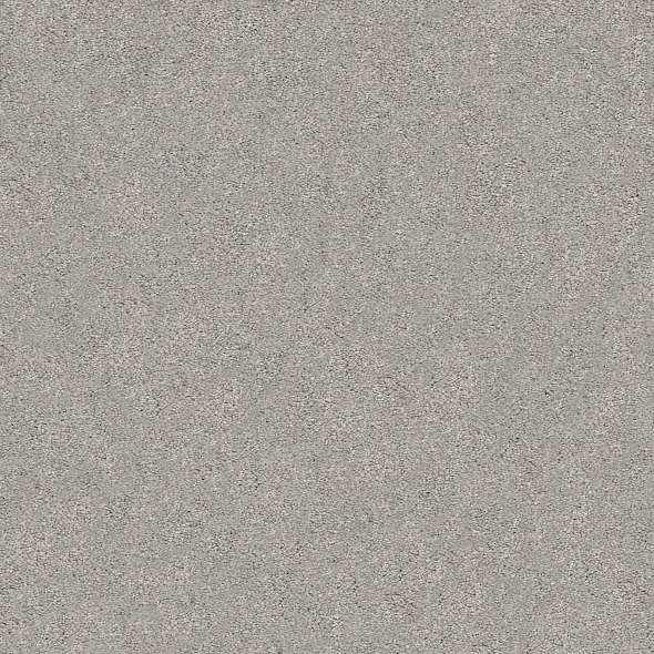 Colorwall - Find your comfort I - Solid - Carpet Shaw Floors