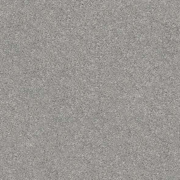 Colorwall - Find your comfort I - Tonal - Carpet Shaw Floors