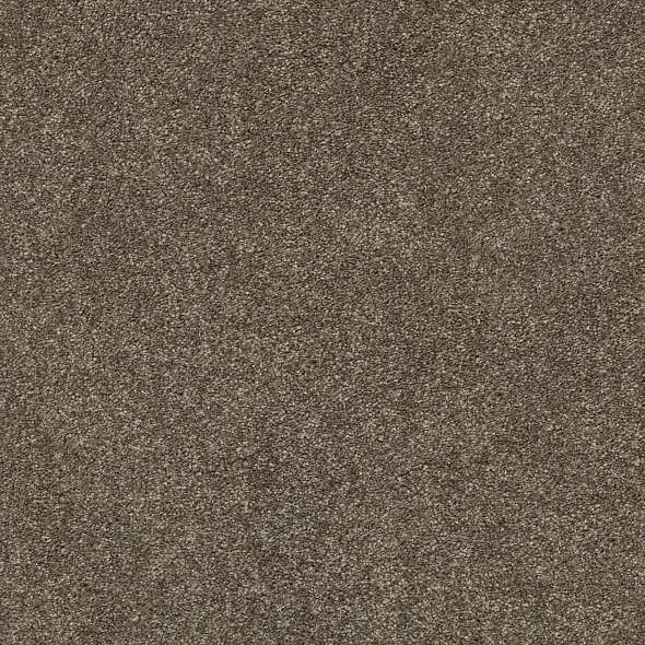 Colorwall - Find your comfort I - Solid - Carpet Shaw Floors