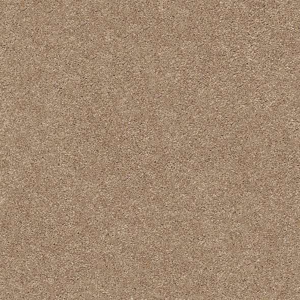 Colorwall - Find your comfort I - Tonal - Carpet Shaw Floors