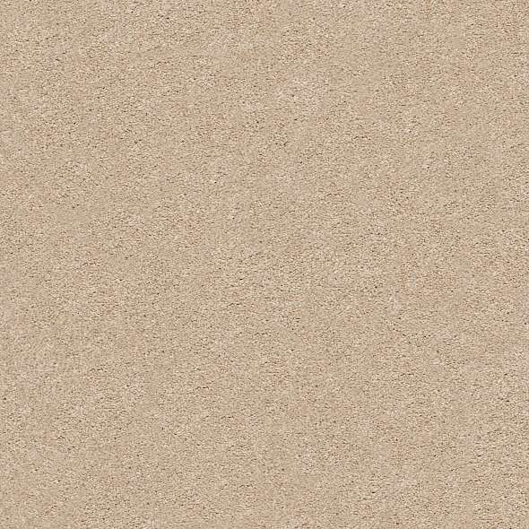 Colorwall - Find your comfort I - Solid - Carpet Shaw Floors