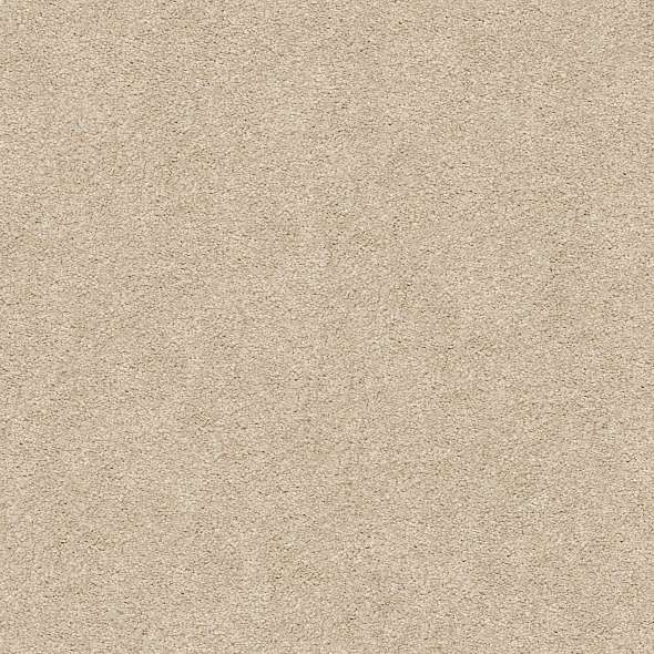 Colorwall - Find your comfort Blue - Solid - Carpet Shaw Floors