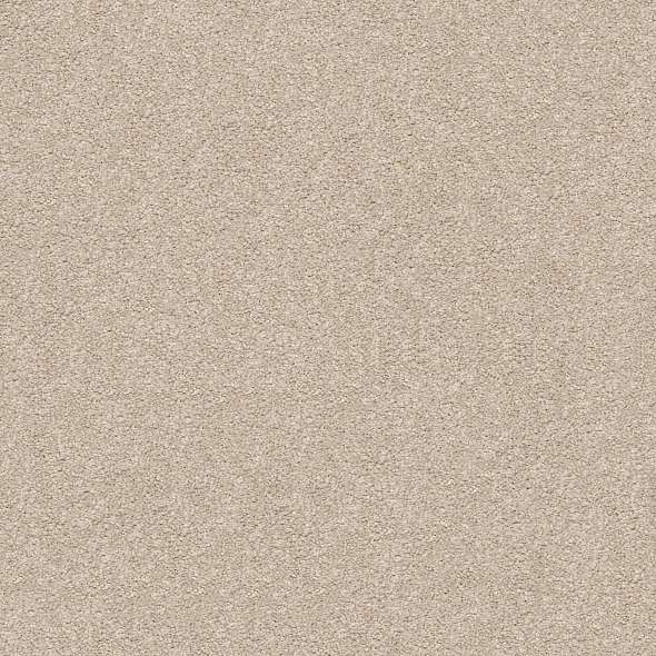 Colorwall - Find your comfort Blue - Solid - Carpet Shaw Floors