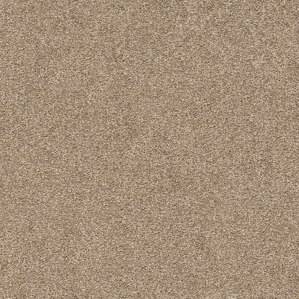 Colorwall - Find your comfort I - Solid - Carpet Shaw Floors
