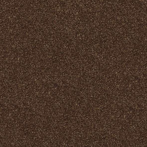 Colorwall - Find your comfort II - Solid - Carpet Shaw Floors