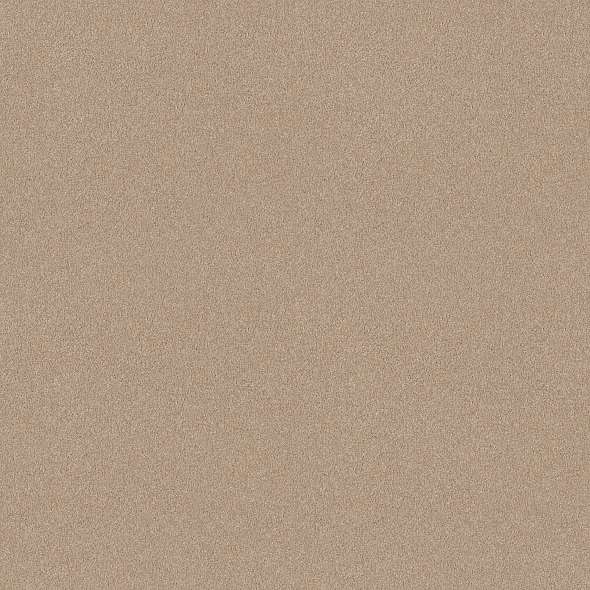 Colorwall - Find your comfort II - Solid - Carpet Shaw Floors