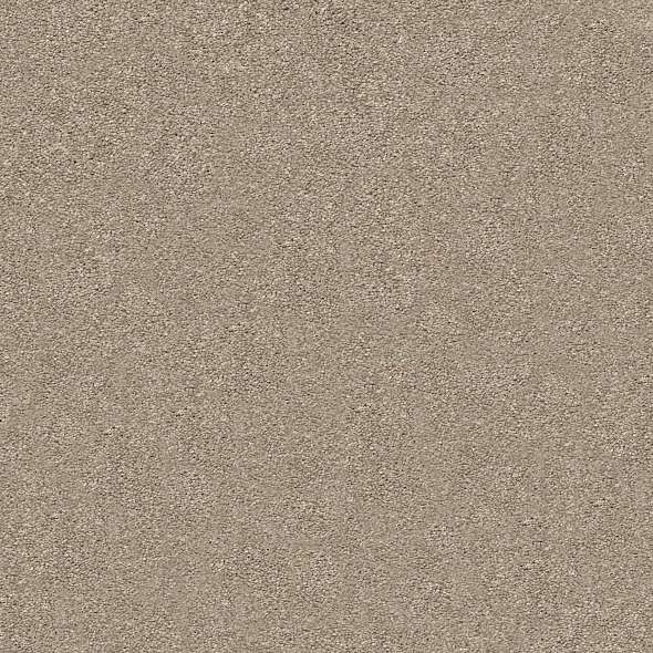 Colorwall - Find your comfort II - Solid - Carpet Shaw Floors