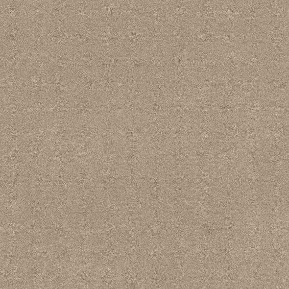 Colorwall - Find your comfort II - Solid - Carpet Shaw Floors