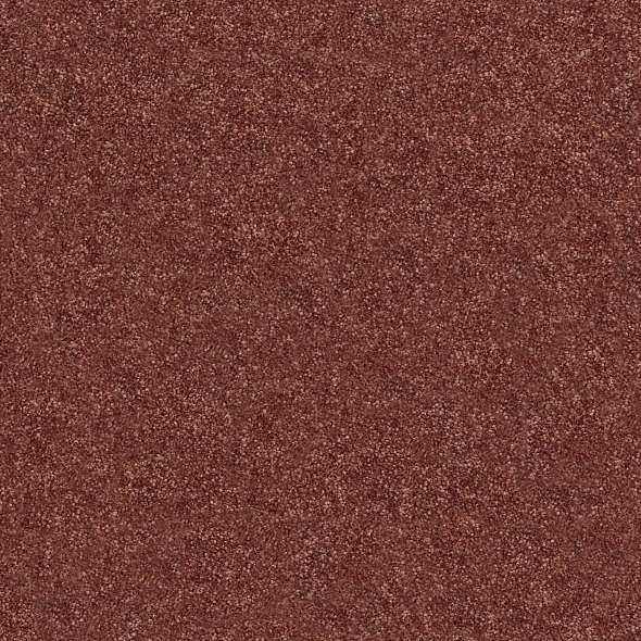 Colorwall - Find your comfort II - Solid - Carpet Shaw Floors