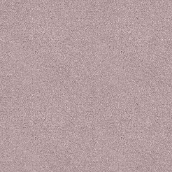 Colorwall - Find your comfort II - Solid - Carpet Shaw Floors