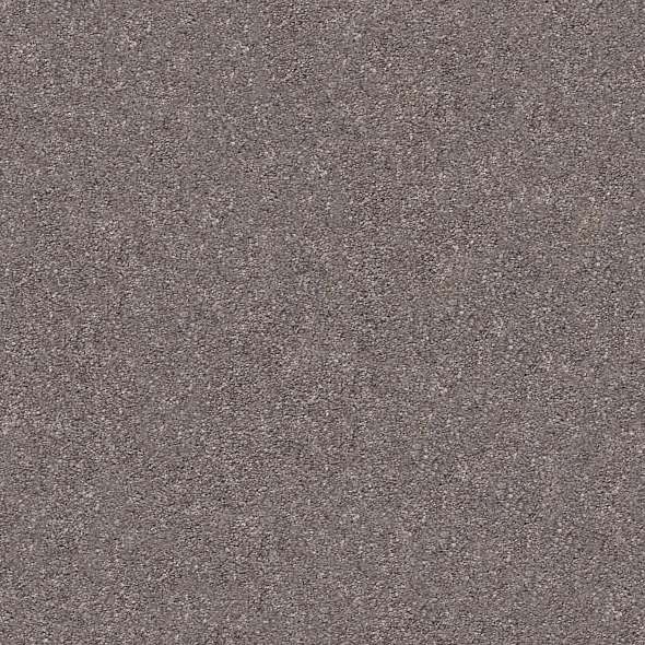 Colorwall - Find your comfort II - Solid - Carpet Shaw Floors