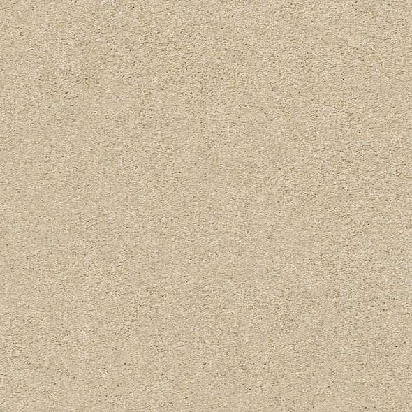 Colorwall - Find your comfort II - Solid - Carpet Shaw Floors