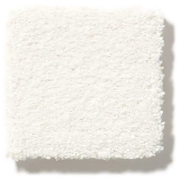 Colorwall - Find your comfort Blue - Solid - Carpet Shaw Floors