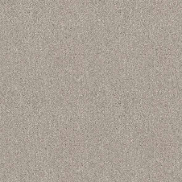 Colorwall - Find your comfort II - Solid - Carpet Shaw Floors