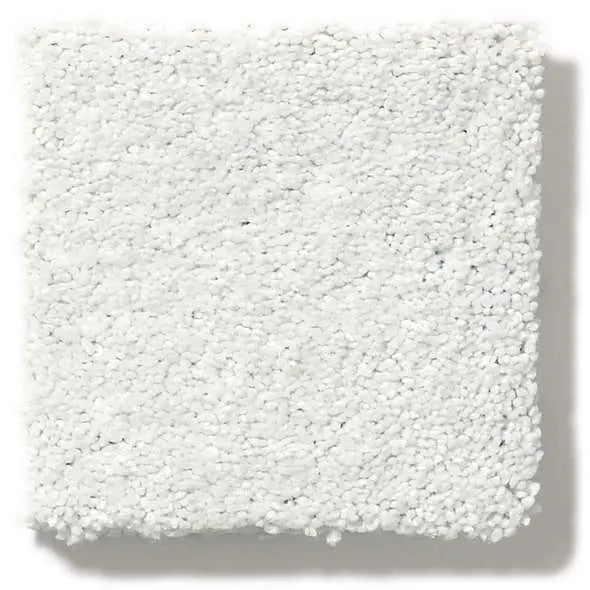 Colorwall - Find your comfort Blue - Solid - Carpet Shaw Floors