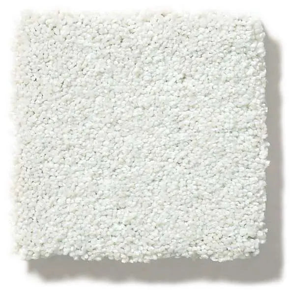 Colorwall - Find your comfort II - Solid - Carpet Shaw Floors