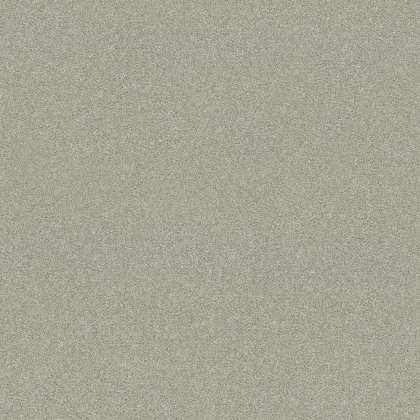 Colorwall - Find your comfort II - Solid - Carpet Shaw Floors