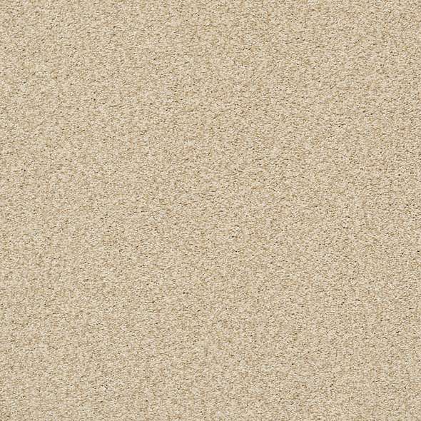 Colorwall - Find your comfort Blue - Tonal - Carpet Shaw Floors