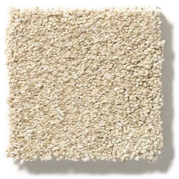 Colorwall - Find your comfort Blue - Tonal - Carpet Shaw Floors